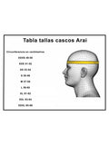 Casco Arai GP-7 Homologado FIA